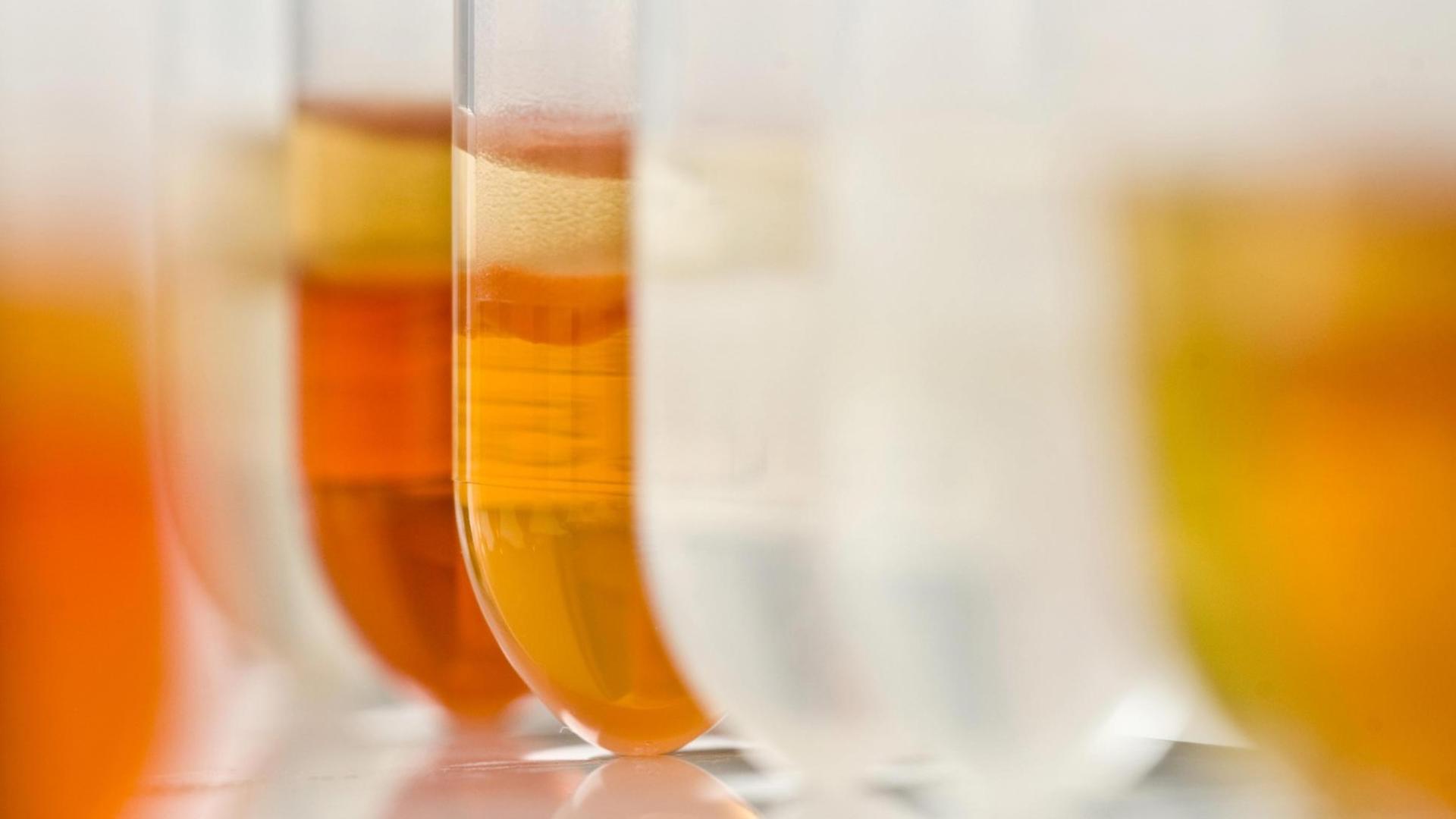Chemiker setzen auf die Evolution im Reagenzglas. Chemiker setzen auf die Evolution im Reagenzglas.