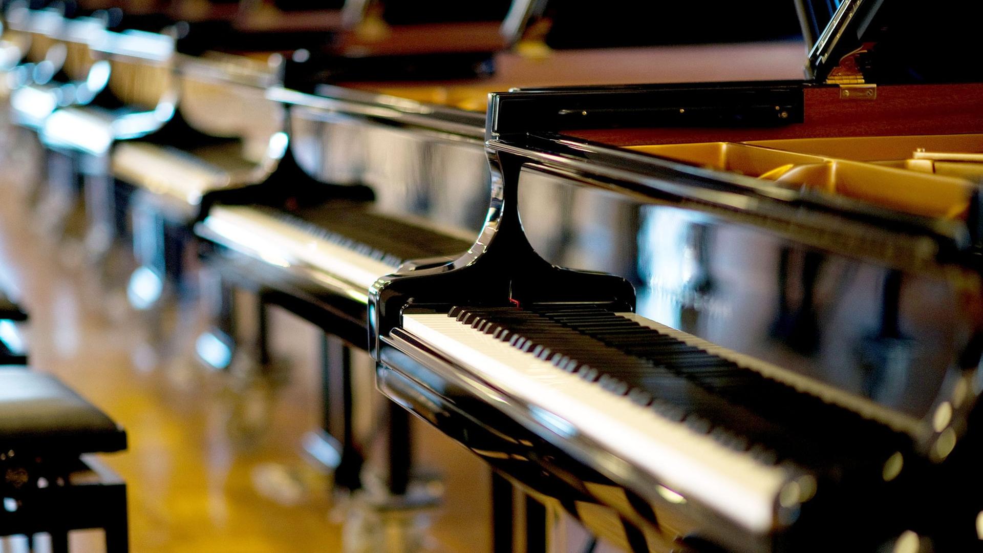 Schwarze, glänzende Flügel der Firma Steinway stehen nebeneinander aufgereiht in einer Halle auf Holzfußboden. Schwarze, glänzende Flügel der Firma Steinway stehen nebeneinander aufgereiht in einer Halle auf Holzfußboden.