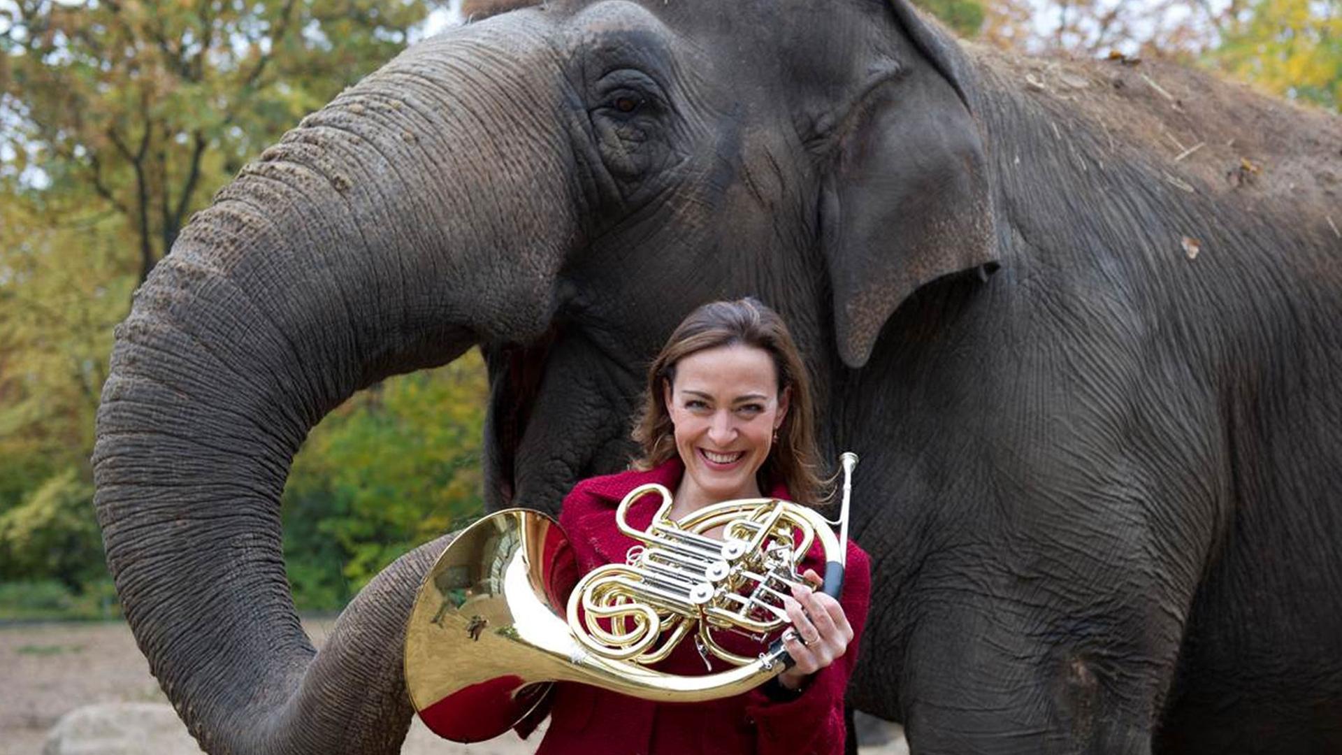 Sarah Willis spielt seit über 12 Jahren als erste weibliche Blechbläserin bei den Berliner Philharmonikern das Horn. Sarah Willis spielt seit über 12 Jahren als erste weibliche Blechbläserin bei den Berliner Philharmonikern das Horn.