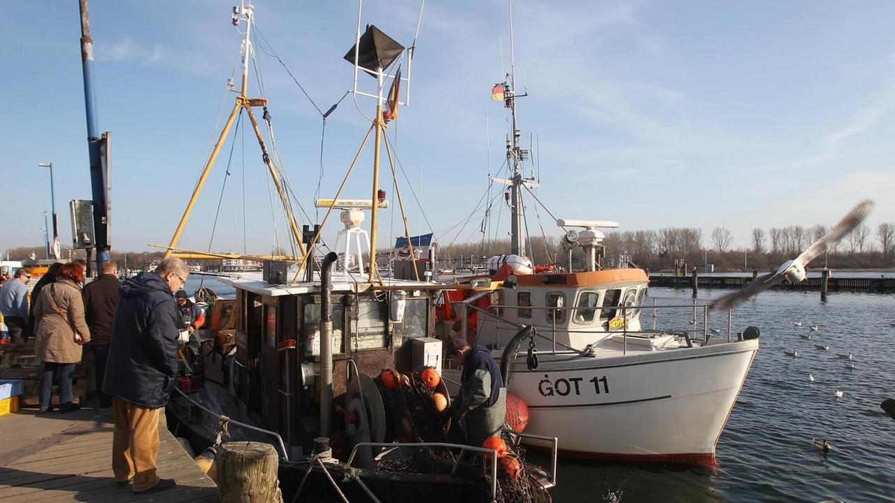 Kunden begutachten die Ware beim Fischverkauf von einem Fischkutter im Fischereihafen. Möwen versuchen etwas vom Fang zu bekommen. Kunden begutachten die Ware beim Fischverkauf von einem Fischkutter im Fischereihafen. Möwen versuchen etwas vom Fang zu bekommen.