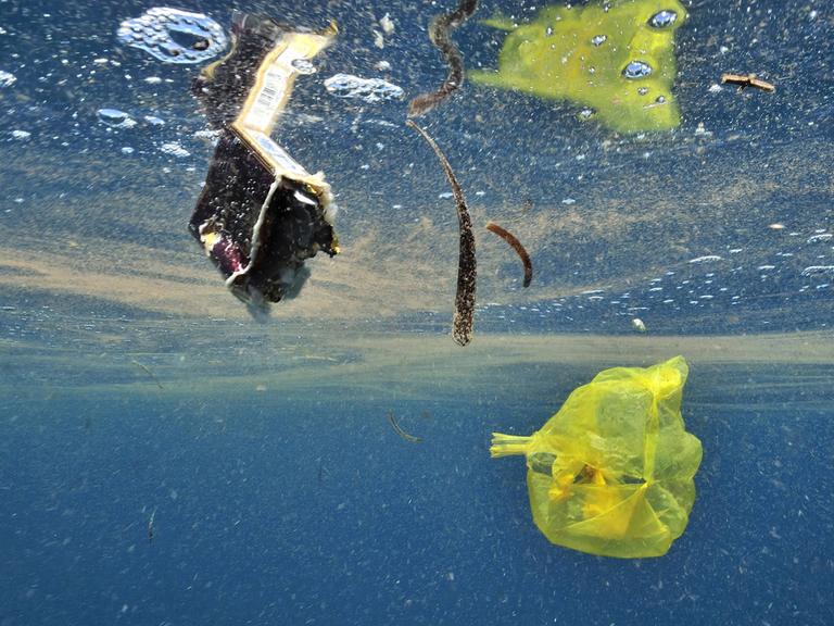Aufnahme unter Wasser. Im Wasser schwimmt Plastikmüll umher.