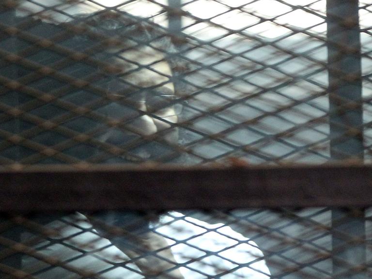 Der bekannte ägyptische Blogger Alaa Abdel Fattah steht während des Prozesses gegen ihn vor einem Kairoer Gericht am 23.2.2015 in einem Käfig.