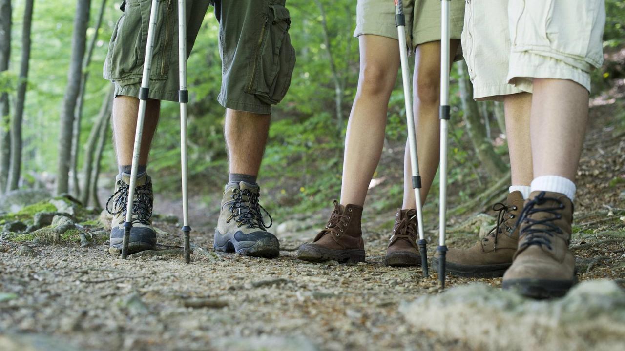 Die Beine von drei Menschen mit Wanderschuhen im Wald Die Beine von drei Menschen mit Wanderschuhen im Wald
