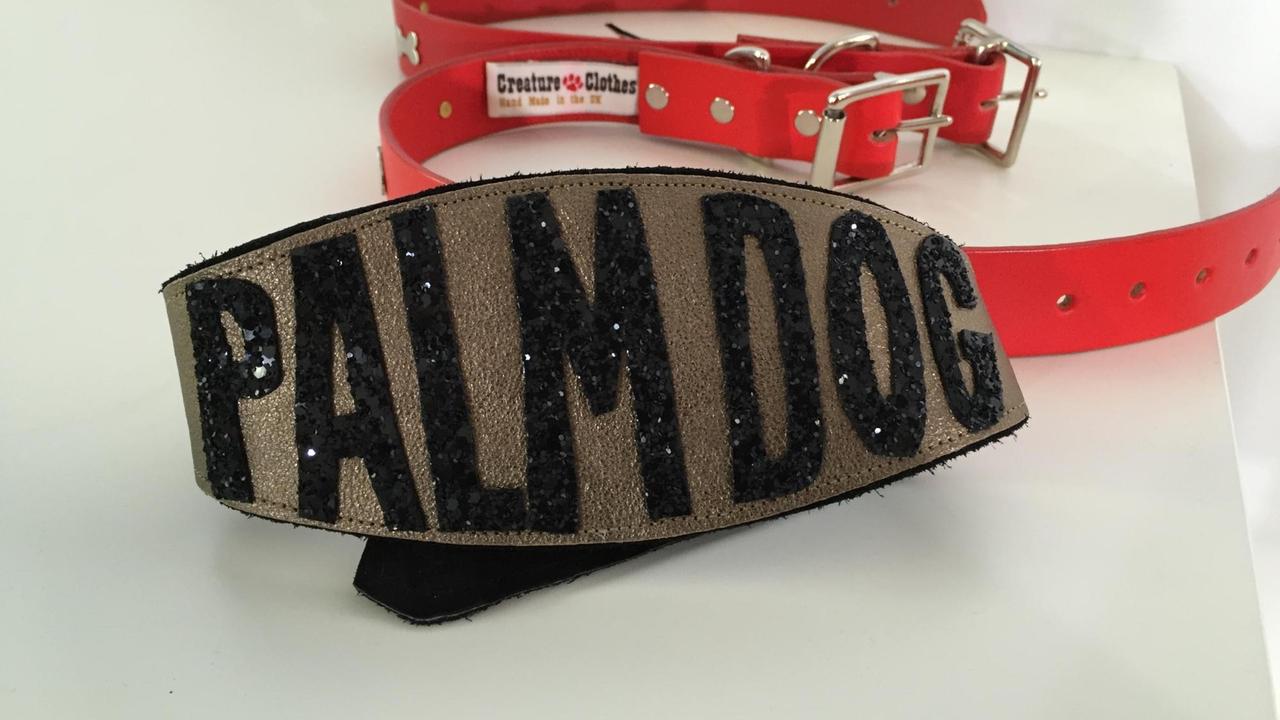 Farbfoto eines Hundehalsbands, auf dem Palm Dog steht. Es ist eine Auszeichnung für den besten Vierbeiner in den Filmen beim Filmfestival Cannes 2016