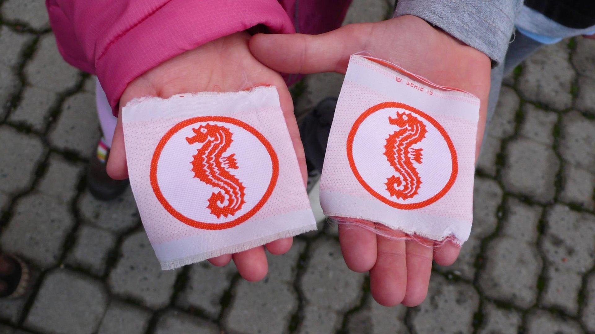Kinder halten das Seepferdchen-Schwimmabzeichen in den Händen. Kinder halten das Seepferdchen-Schwimmabzeichen in den Händen.