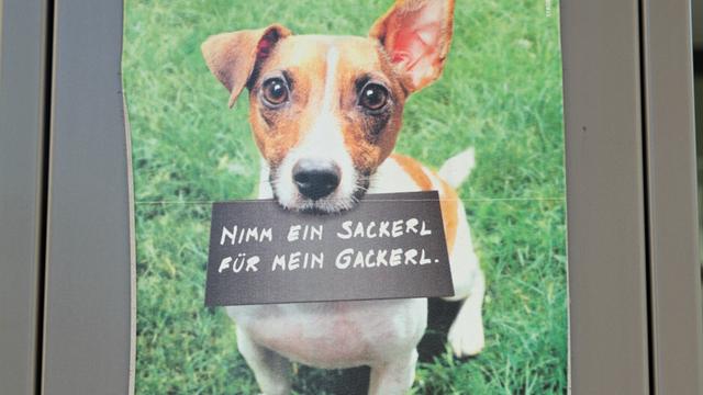Ein Spender für Plastikbeutel zur ordnungsgmäßen "Gackerl"-Entsorgung: Wer den Hundekot trotzdem liegen lässt, muss in Wien 50 Euro Strafe zahlen.
