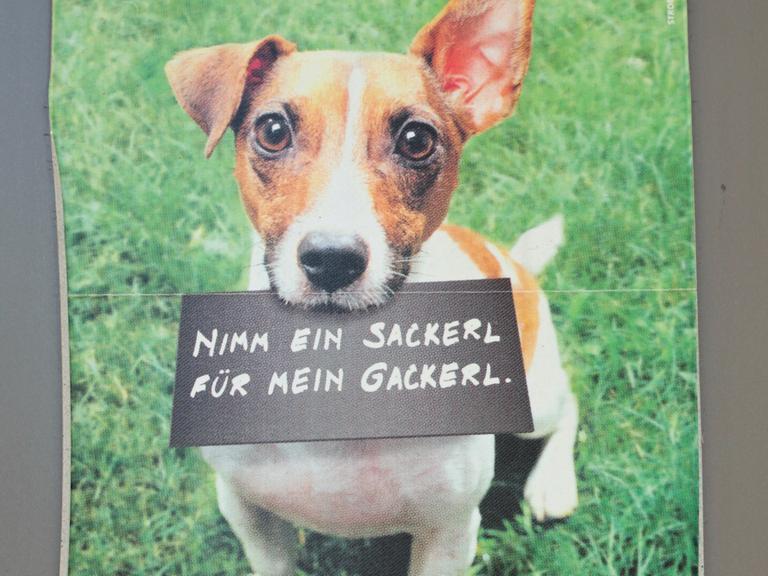 Ein Spender für Plastikbeutel zur ordnungsgmäßen "Gackerl"-Entsorgung: Wer den Hundekot trotzdem liegen lässt, muss in Wien 50 Euro Strafe zahlen.