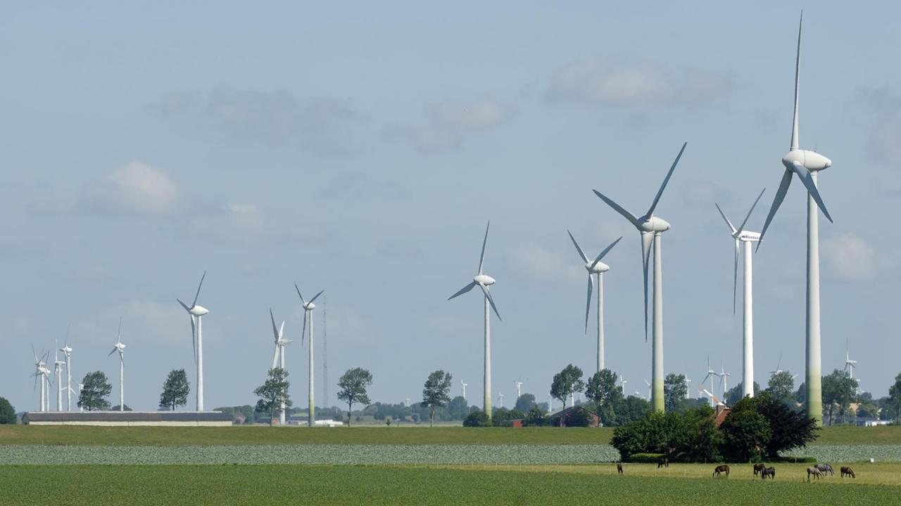 Viele Windräder stehen in der Landschaft von Dithmarschen Viele Windräder stehen in der Landschaft von Dithmarschen