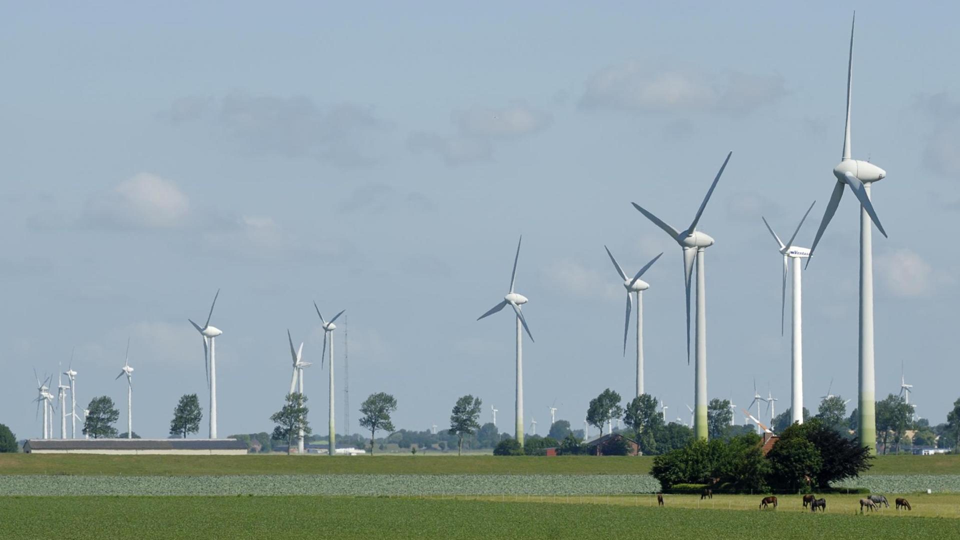 Viele Windräder stehen in der Landschaft von Dithmarschen Viele Windräder stehen in der Landschaft von Dithmarschen