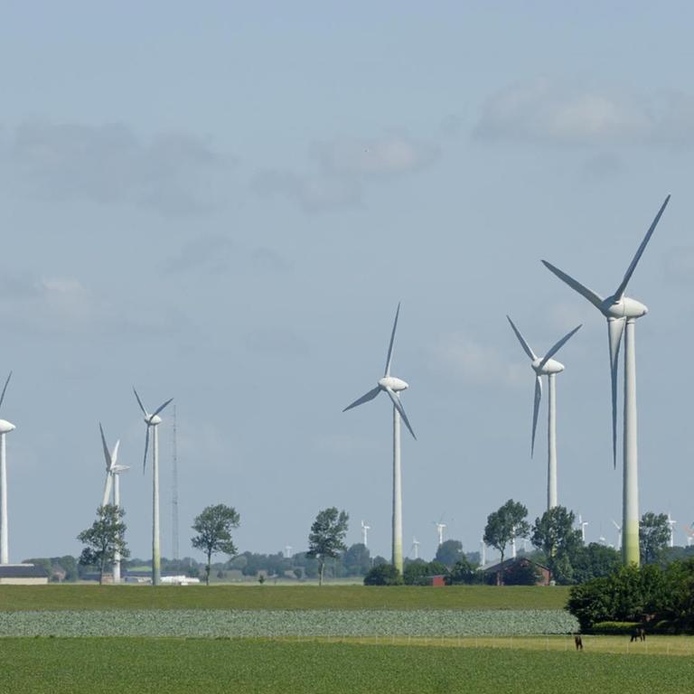Viele Windräder stehen in der Landschaft von Dithmarschen
