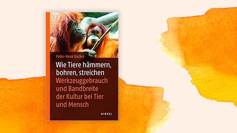 Cover: Peter-René Becker "Wie Tiere hämmern, bohren, streichen: Werkzeuggebrauch und Bandbreite der Kulur bei tier und Menschen