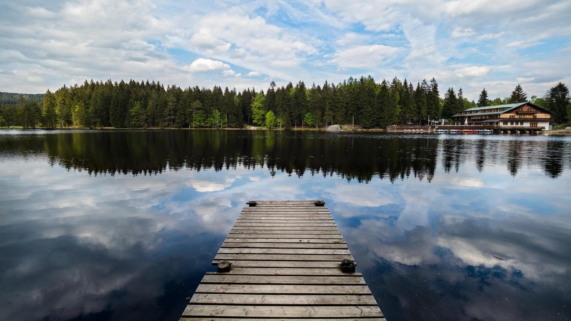 Blick auf den Fichtelsee Blick auf den Fichtelsee