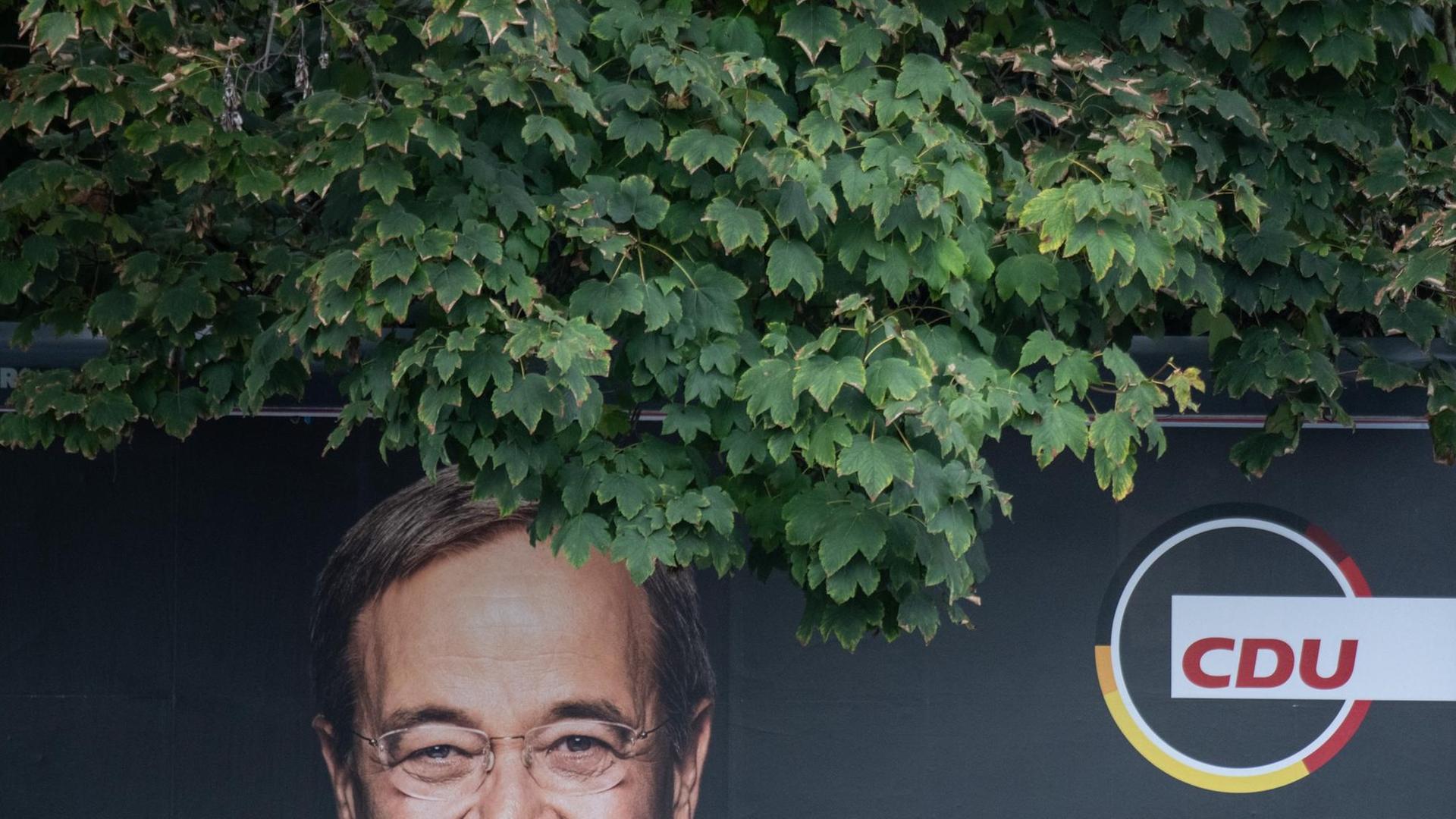Grüne Blätter eines Baumes hängen über einem Wahlplakat mit dem Konterfei von CDU-Kanzlerkandidat Laschet. Grüne Blätter eines Baumes hängen über einem Wahlplakat mit dem Konterfei von CDU-Kanzlerkandidat Laschet.