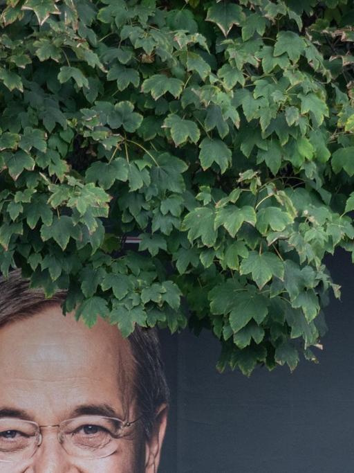 Grüne Blätter eines Baumes hängen über einem Wahlplakat mit dem Konterfei von CDU-Kanzlerkandidat Laschet.