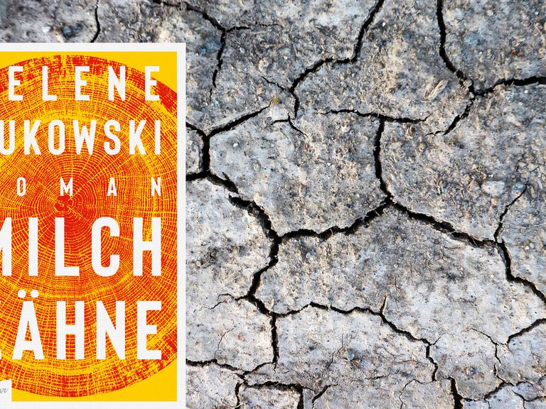 Montage: Buchcover von "Milchzähne" und ein ausgetrockneter Boden.
