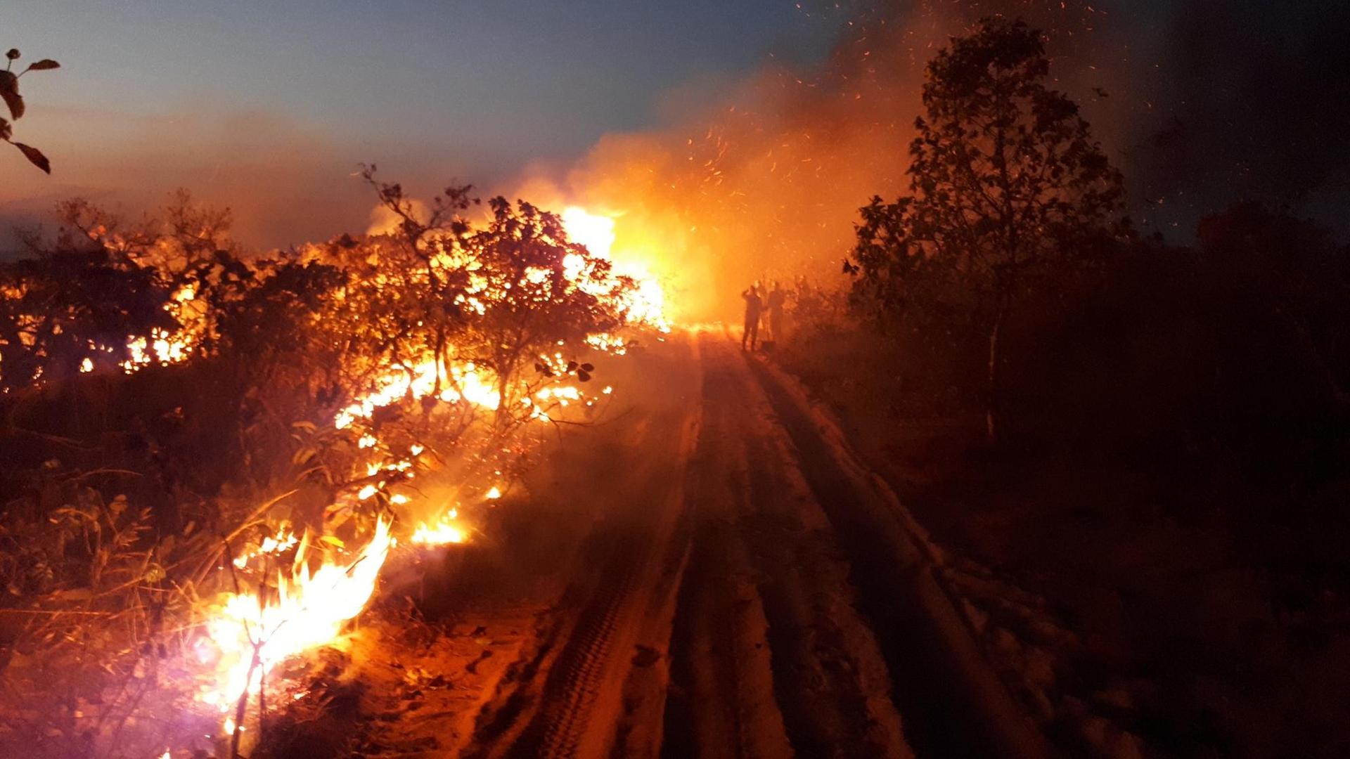 Auf diesem vom Chico Mendes Institut zum Schutz der Artenvielfalt zur Verfügung gestellten Bild beobachtet eine Gruppe die Flammen bei einem Waldbrand im Naturpark Chapada dos Guimaraes. Auf diesem vom Chico Mendes Institut zum Schutz der Artenvielfalt zur Verfügung gestellten Bild beobachtet eine Gruppe die Flammen bei einem Waldbrand im Naturpark Chapada dos Guimaraes.