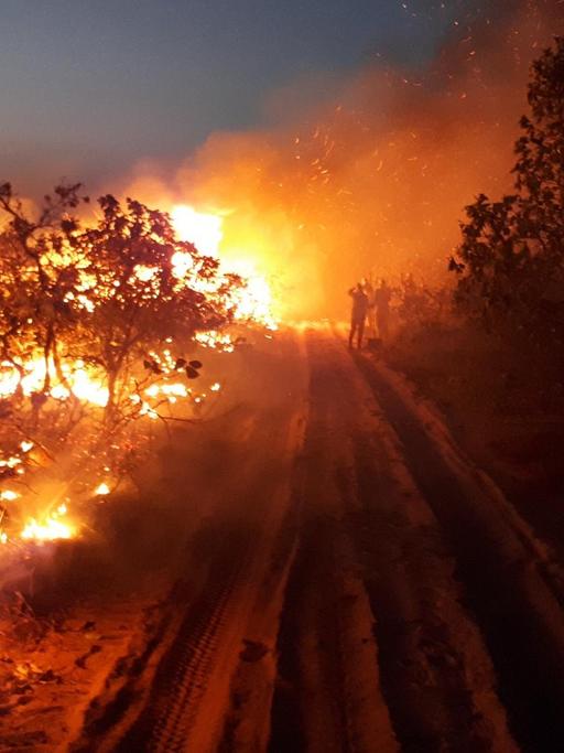 Auf diesem vom Chico Mendes Institut zum Schutz der Artenvielfalt zur Verfügung gestellten Bild beobachtet eine Gruppe die Flammen bei einem Waldbrand im Naturpark Chapada dos Guimaraes.