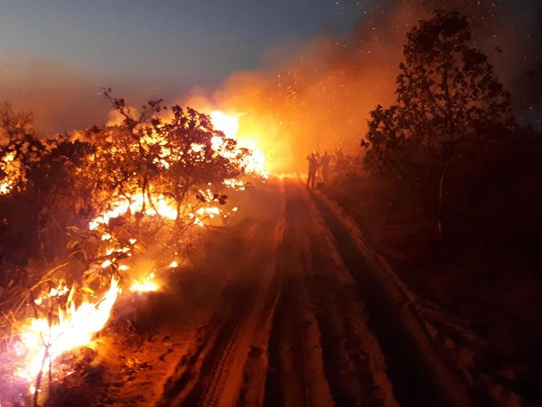 Auf diesem vom Chico Mendes Institut zum Schutz der Artenvielfalt zur Verfügung gestellten Bild beobachtet eine Gruppe die Flammen bei einem Waldbrand im Naturpark Chapada dos Guimaraes.