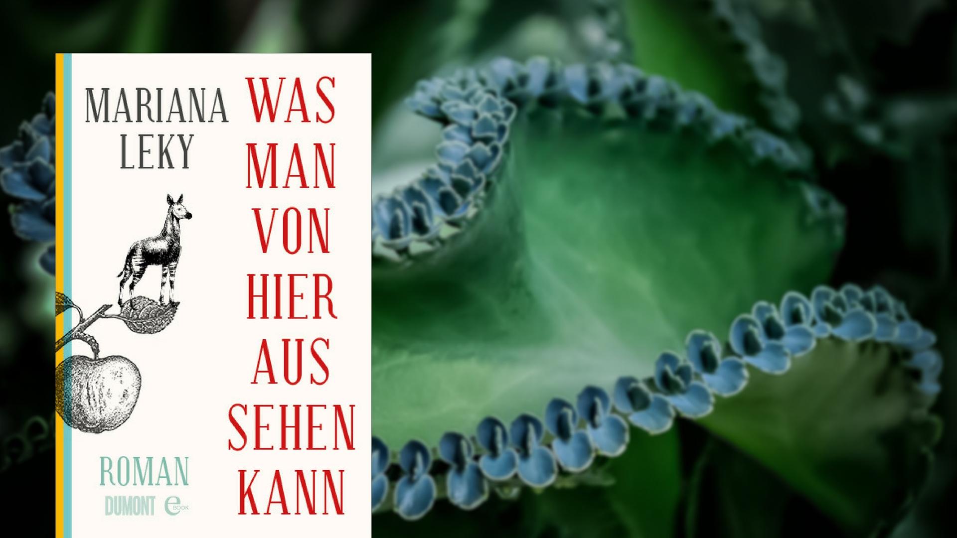 Mariana Leky: "Was man von hier aus sehen kann" Mariana Leky: "Was man von hier aus sehen kann"