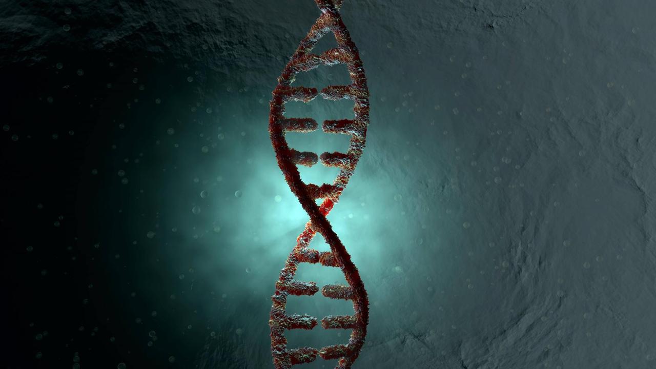 3D-Illustration einer DNA-Doppelhelix. 3D-Illustration einer DNA-Doppelhelix.