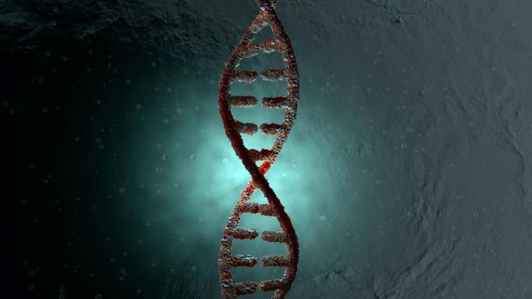 3D-Illustration einer DNA-Doppelhelix.