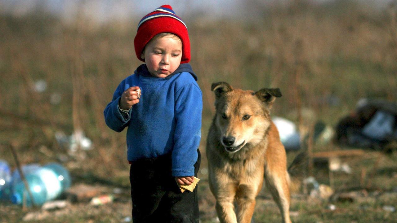 Ein Kind, drei Jahre alt, zwischen Müll, dass neben einem Hund steht und versucht, seine Kekse vor ihm zu verstecken. Ein Kind, drei Jahre alt, zwischen Müll, dass neben einem Hund steht und versucht, seine Kekse vor ihm zu verstecken.