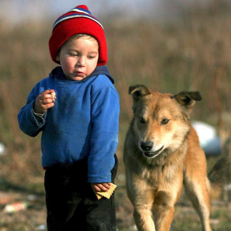 Ein rumänisches Romakind, drei Jahre alt, zwischen Müll, dass neben einem Hund steht und versucht, seine Kekse vor ihm zu verstecken.