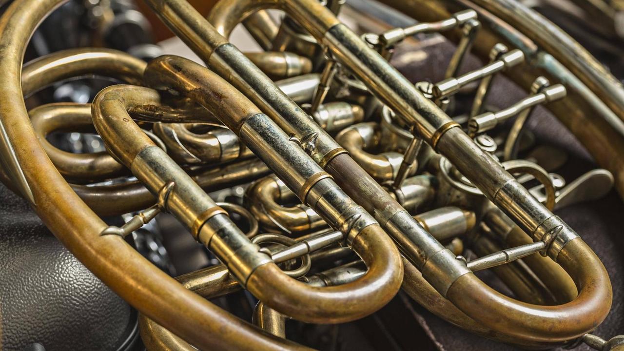 Detail der goldenen Metallschlaufen eines Hornes. Detail der goldenen Metallschlaufen eines Hornes.