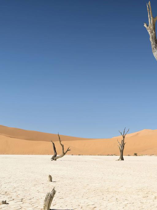 Die Wüste Namib kann dem Klimawandel zum Opfer fallen.