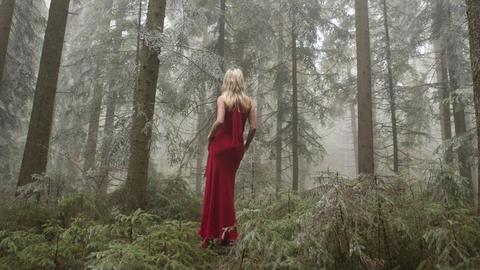 Eine Frau in rotem Abendkleid steht in einem undurchdringlichen Wald und wendet uns den Rücken zu.