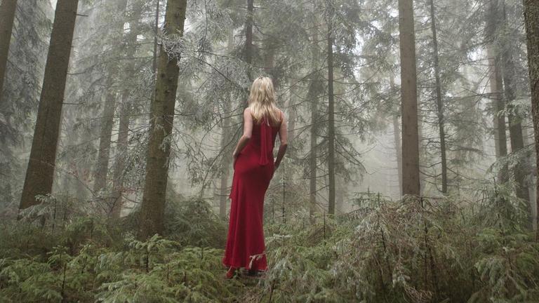 Eine Frau in rotem Abendkleid steht in einem undurchdringlichen Wald und wendet uns den Rücken zu. Eine Frau in rotem Abendkleid steht in einem undurchdringlichen Wald und wendet uns den Rücken zu.