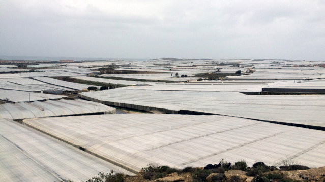 Plastikbahnen in der spanischen Provinz Almeria, die den ganzjährigen Gemüseanbau ermöglichen