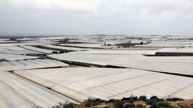 Plastikbahnen in der spanischen Provinz Almeria, die den ganzjährigen Gemüseanbau ermöglichen Plastikbahnen in der spanischen Provinz Almeria, die den ganzjährigen Gemüseanbau ermöglichen