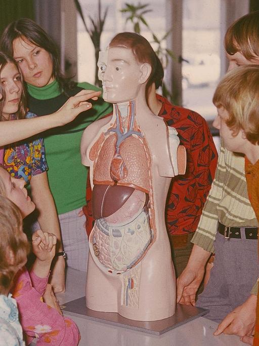 Biologieunterricht in einer Schule in Neubrandenburg (DDR): Die menschliche Anatomie wird anhand eines Modells erlernt. Die Schülerinnen und Schüler berühren vorsichtig das Modell eines Menschen und blicken neugierig auf das Gesicht, 1975.
