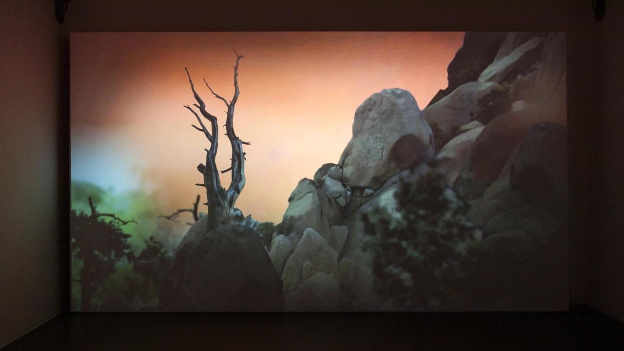 Das Werk "Mastering Bambi" aus dem Jahr 2010 von Persijn Broersen & Margit Lukács in der Ausstellung "And the FORESTs will echo with laughter..." der ERES-Stiftung München. Zu sehen ist ein Ausschnitt der Video-Arbeit, die in der Tierperspektive durch den Wald führt. Das Werk "Mastering Bambi" aus dem Jahr 2010 von Persijn Broersen & Margit Lukács in der Ausstellung "And the FORESTs will echo with laughter..." der ERES-Stiftung München. Zu sehen ist ein Ausschnitt der Video-Arbeit, die in der Tierperspektive durch den Wald führt.