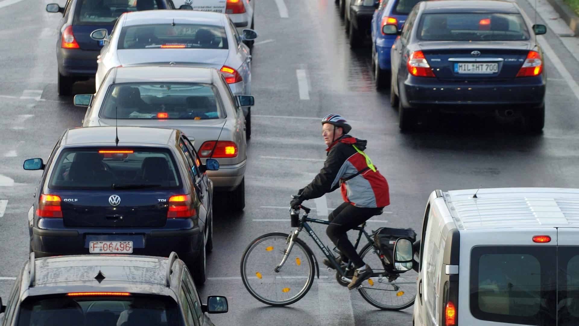 Ein Fahrradfahrer fährt zwischen Autos vorbei, die sich an einer Einfallstraße von Frankfurt am Main im Berufsverkehr stauen. Ein Fahrradfahrer fährt zwischen Autos vorbei, die sich an einer Einfallstraße von Frankfurt am Main im Berufsverkehr stauen.
