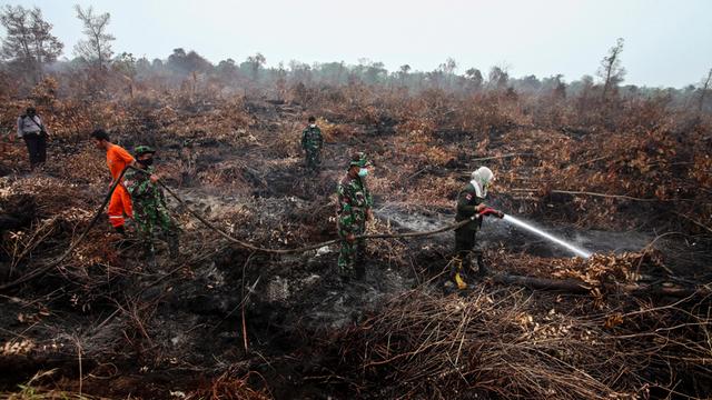 Brände auf Sumatra haben ganze Landstriche verwüstet.
