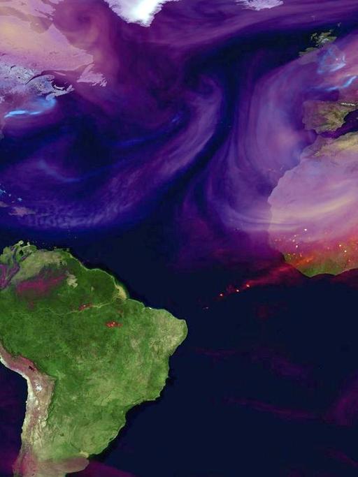 Die Kohlendioxidemissionen auf der Erde. Rote Flächen zeigen hohe Konzentrationen etwa von Auspuffgasen. Blaue Flächen zeigen hohe CO2-Konzentrationen über städtischen Zentren.