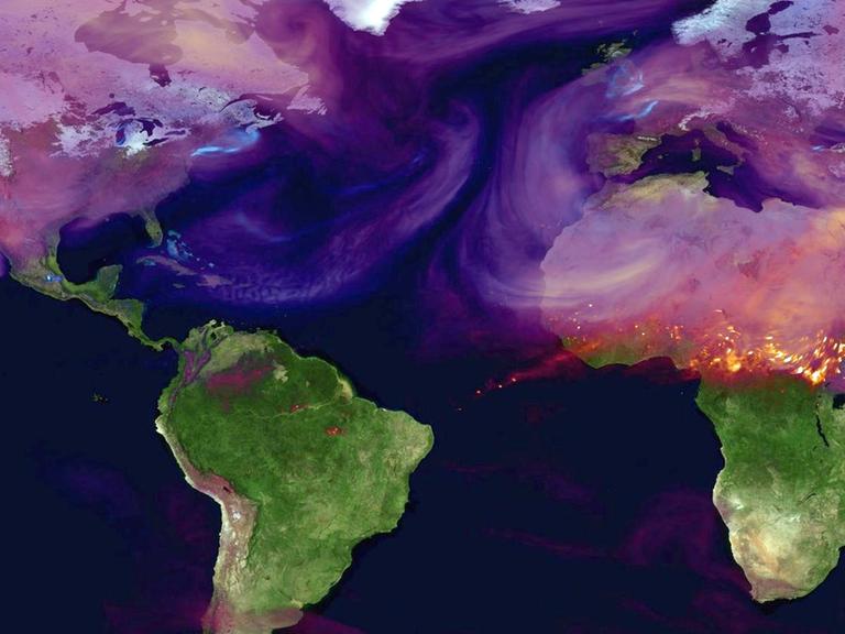 Die Kohlendioxidemissionen auf der Erde. Rote Flächen zeigen hohe Konzentrationen etwa von Auspuffgasen. Blaue Flächen zeigen hohe CO2-Konzentrationen über städtischen Zentren.