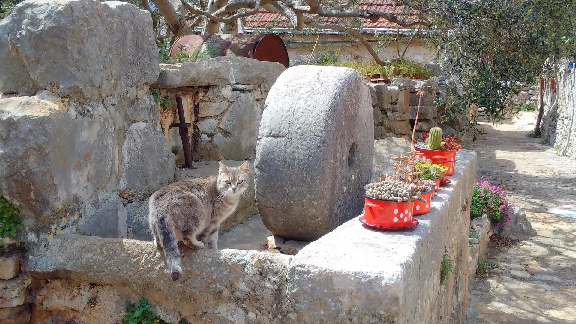 Die alte Ölpresse in Rudina, Insel Hvar. Die alte Ölpresse in Rudina, Insel Hvar.