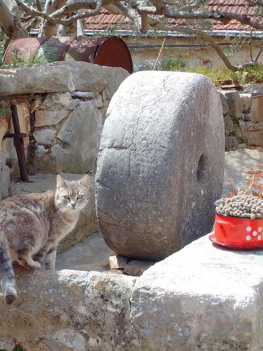 Die alte Ölpresse in Rudina, Insel Hvar.