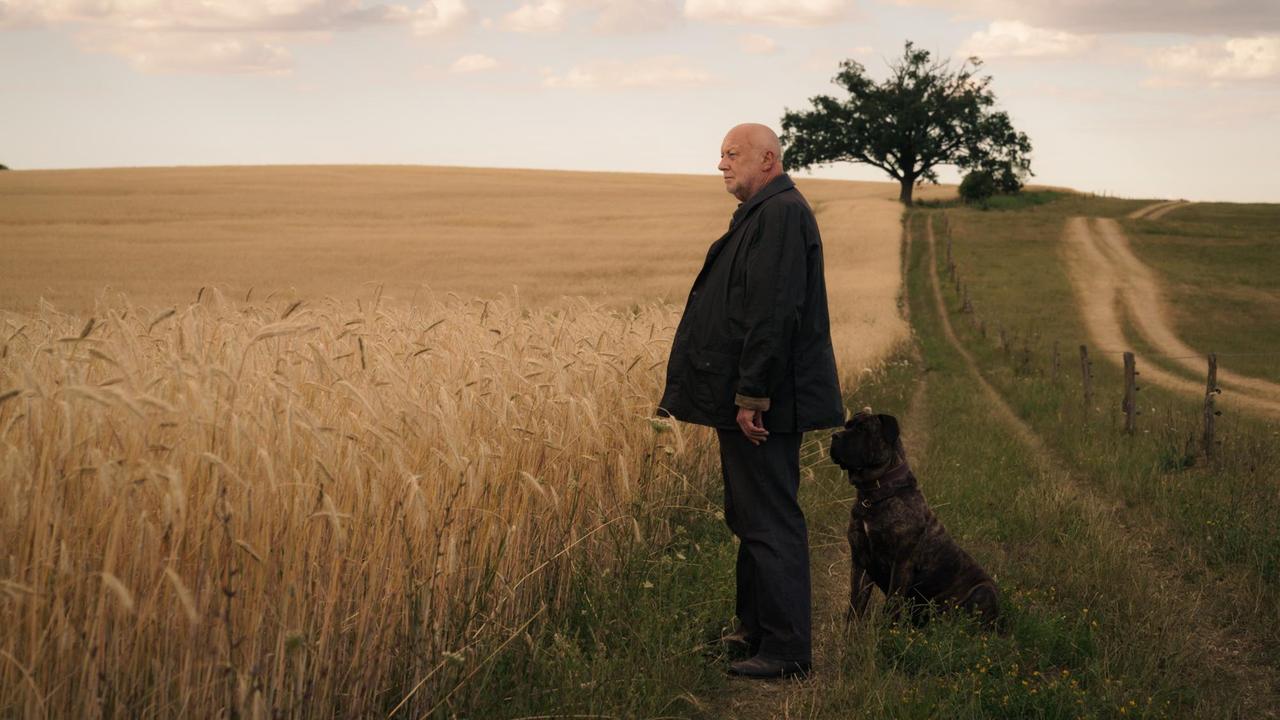 "Unterleuten - Das zerrissene Dorf": Rudolf Gombrowski steht mit seinem Hund vor den Feldern. "Unterleuten - Das zerrissene Dorf": Rudolf Gombrowski steht mit seinem Hund vor den Feldern.