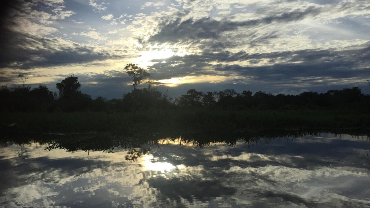 Abendlicht spiegelt sich im Wasser eines Nebenarms des Amazonas. Abendlicht spiegelt sich im Wasser eines Nebenarms des Amazonas.