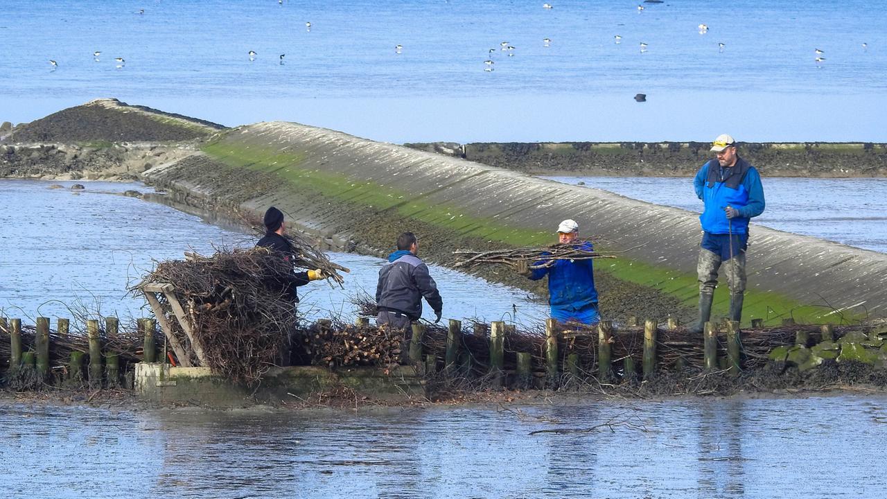 Küstenschutz am Wattenmeer Küstenschutz am Wattenmeer