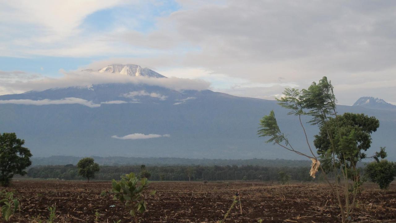 Zu Füßen des Kilimandscharo in Tansania - Bananenanbau im tropischen Bergwald