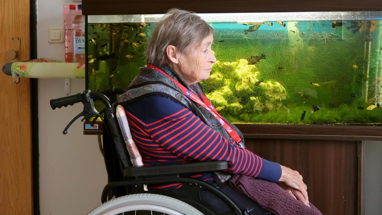 Die Alten- und Pflegeheim-Bewohnerin Frau M. sitzt im Rollstuhl vor ihren Fischen. Die Alten- und Pflegeheim-Bewohnerin Frau M. sitzt im Rollstuhl vor ihren Fischen.