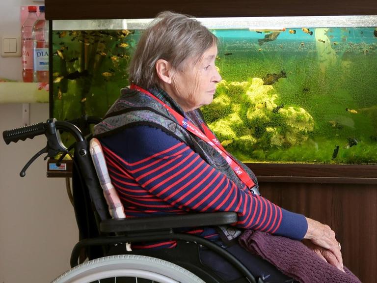Die Alten- und Pflegeheim-Bewohnerin Frau M. sitzt im Rollstuhl vor ihren Fischen.