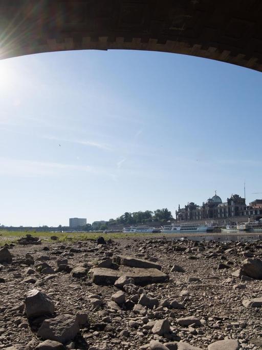 Ein Brückenbogen der Augustusbrücke überspannt das ausgetrocknete Flussbett am Ufer der Elbe vor der Kulisse der Altstadt in Dresden, aufgenommen am 25.06.2019.