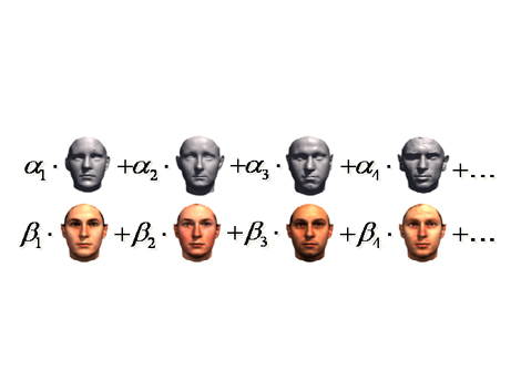 Durch Mischung von Beispielgesichtern kann ein Computerprogramm jedes beliebige Gesicht rekonstruieren.