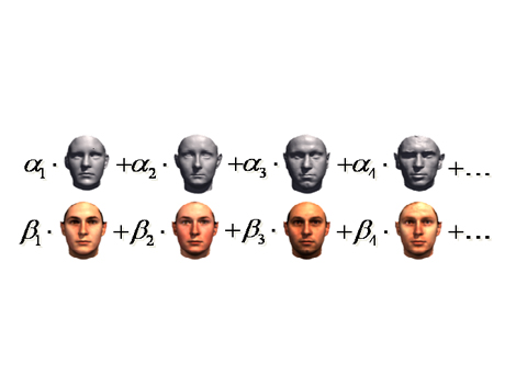 Durch Mischung von Beispielgesichtern kann ein Computerprogramm jedes beliebige Gesicht rekonstruieren. Durch Mischung von Beispielgesichtern kann ein Computerprogramm jedes beliebige Gesicht rekonstruieren.